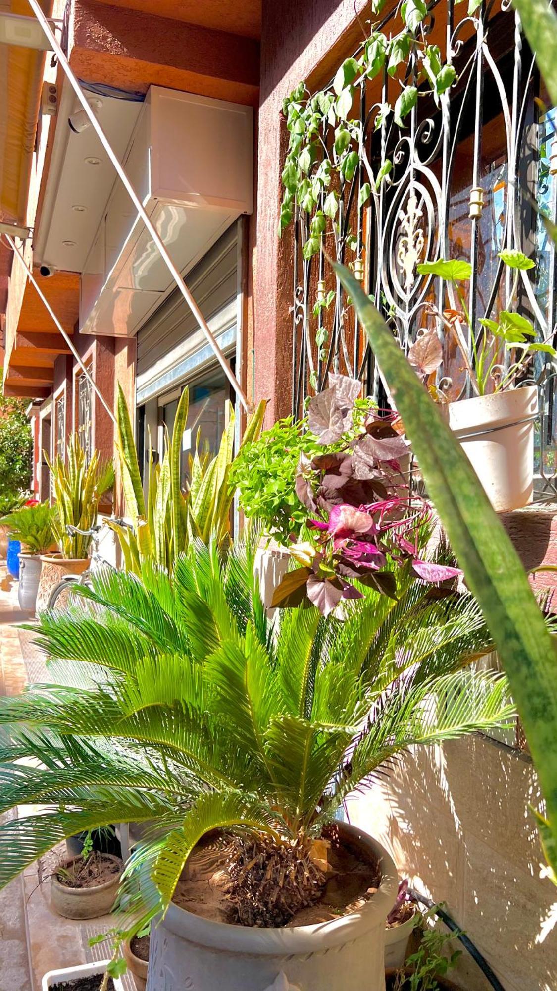 Sabor Aparts Jawharat Al Atlas -Only Family Marrakesh Extérieur photo